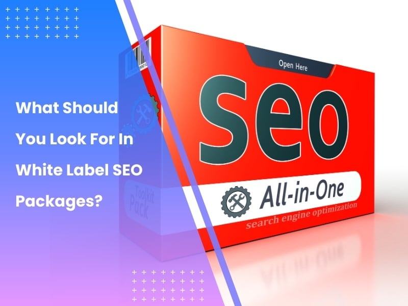 Illustration of an all-in-one SEO toolkit pack with the text 'What to look for in white label SEO packages.'