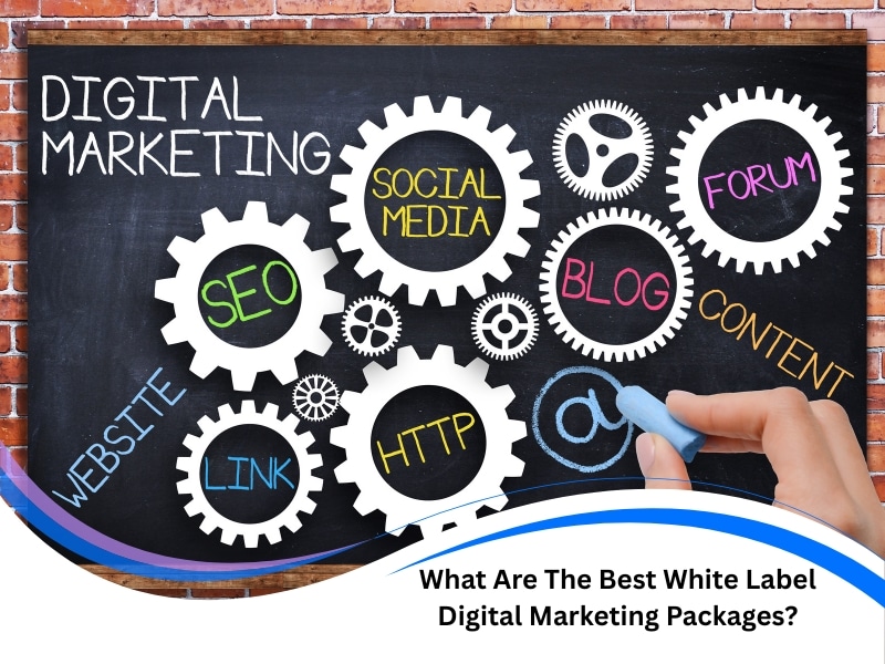 best digital marketing packages diagram with SEO, content, blog, social media on chalkboard gears